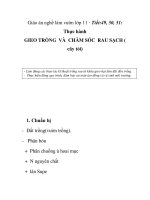 Giáo án nghề làm vườn lớp 11 - Tiết:49, 50, 51: Thực hành GIEO TRỒNG VÀ CHĂM SÓC RAU SẠCH ( cây tỏi) pot