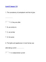 Level C lesson 113 doc