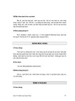 Bài giảng bệnh chuyên khoa nông nghiệp : BỆNH HẠI CÂY XOÀI part 2 docx