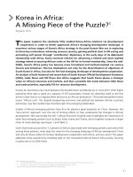 Korea in Africa:  A Missing Piece of the Puzzle