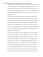 Chính sách tiền tệ của ngân hàng trung ương và vận dụng với lạm phát ở Việt Nam - 4 pps