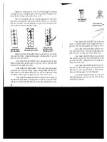 Kỹ thuật chăn nuôi gà Nòi part 4 pps