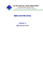 Bài giảng bệnh chuyên khoa nông nghiệp : BỆNH HẠI CÂY XOÀI part 1 potx