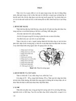 THẬNThận (ren) docx