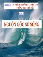 bài 43 bài giảng nguồn gốc sự sống