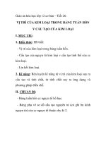 Giáo án hóa học lớp 12 cơ bản – Tiết 26: VỊ TRÍ CỦA KIM LOẠI TRONG BẢNG TUẦN HỒN V CẤU TẠO CỦA KIM LOẠI pptx