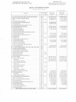 TậP đoàn dệt MAY VIệT NAM TổNG CôNG TY VIệT THắNG CTCP bảng cân đối kế toán tại 31 tháng 3 năm 2013 báo cáo tài chính quý 1 năm 2013