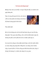 Trẻ bị ho nên kiêng ăn gì pps