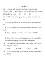 ĐỀ THI TRẮC NGHIỆM LUYỆN THI CĐ, ĐH MÔN HÓA HỌC ĐỀ SỐ 22 pptx