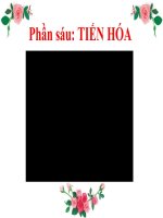 bài 24 bằng chứng tiến hóa