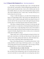 Quản lý kênh phân phối ở Cty chử thập đỏ VINA RECO - 6 ppt