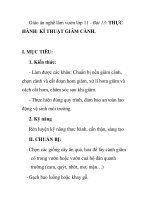 Giáo án nghề làm vườn lớp 11 - Bài 13: THỰC HÀNH: KĨ THUẬT GIÂM CÀNH. pps