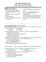 ĐỀ KIỂM TRA HỌC KỲ I Môn : VẬT LÍ – Lớp 11 docx