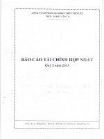 Công ty cổ phần tập đoàn thép tiến lên báo cáo tài chính hợp nhất quý 2 năm 2013