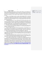 Nghiên cứu chẩn đoán lâm sàng và hình ảnh chấn thương tháp mũi qua chụp cắt lớp vi tính tại viện tai mũi họng trung ương