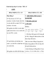 Giáo hóa học lớp 12 cơ bản - Tiết: 13 : AMIN HOẠT ĐỘNG CỦA GV pdf