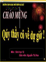 bài 11 liên kết gen hoán vị gen