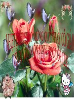 tạo giống bằng công nghệ đb gen