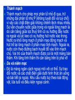 Bài giảng bệnh lý học thú y : Rối loạn chuyển hóa các chất part 8 doc