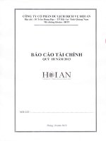 công ty cổ phần du lịch dịch vụ hội an báo cáo tài chính quý 3 năm 2013