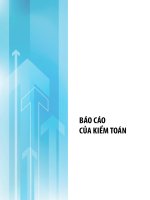 BÁO cáo của KIỂM TOÁN CÔNG TY cổ PHẦN DỊCH vụ CÔNG NGHỆ TIN học HPT báo cáo của BAN TỔNG GIÁM đốc năm tài chính kết thúc ngày 31 tháng 12 năm 2011