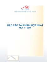 BÁO cáo tài CHÍNH hợp NHẤT QUÝ 1 2014 CÔNG TY cổ PHẦN PHÁT TRIỂN NHÀ bà rịa VŨNG tàu