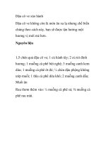 Đậu cô ve xào hành pot