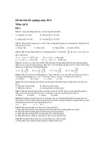 Đề thi thử tốt nghiệp năm 2011 Môn vật lý - Đề 1 pot