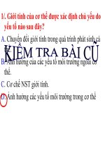 ảnh hưởng của môi trường lên sự biểu hiện của kiểu gen