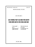 Các phương pháp tạo hình tổn khuyết phần mềm nhỏ và vừa vùng hàm mặt