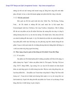 Giải pháp hoàn thiện công tác bán hàng tại Vissan Đà Nẵng –6 potx