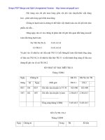 Hạch tóan lưu chuyển hàng hóa trong Cty Dịch vụ Hoàng Khuyên - 5 pptx