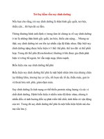 Trẻ bụ bẫm vẫn suy dinh dưỡng pdf