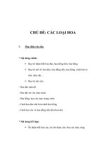 Giáo án mầm non - CHỦ ĐỀ: CÁC LOẠI HOA ppt