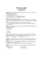 Đề thi thử trắc nghiệm đề 13: Môn Vật lý pptx