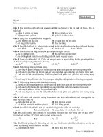 ĐỀ THI TRẮC NGHIỆM MÔN VẬT LÍ 11 - Mã đề thi 601 potx