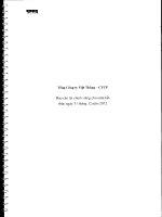 TổNG CôNG TY VIệT THắNG CTCP công ty con báo cáo tài chính cho năm tài chính kết thúc ngày 31 tháng 12 năm 2012