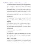 Phân tích tình hình sử dụng vốn lưu động tại Cty dệt may Đà Nẵng -5 pot