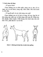 Hướng dẫn kỹ thuật nuôi dê part 2 pdf
