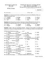 ĐỀ KIỂM TRA HỌC KỲ II NĂM HỌC 2010-2011 Môn : ANH VĂN - Lớp 12 THPT docx