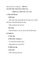 Giáo án Vật lý 12 nâng cao - TIẾT 81: SỰ HẤP THỤ ÁNH SÁNG, PHẢN XẠ. CHỌN LỰA MÀU SẮC CÁC VẬT doc