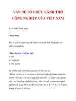 VẤN ĐỀ TỔ CHỨC LÃNH THỔ CÔNG NGHIỆP CỦA VIỆT NAM_2 pps