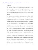 Phân tích tình hình cho vay tiêu dùng tại Ngân hàng ACB - 1 pps