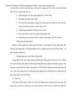 Giải pháp đẩy mạnh xúc tiến thương mại trong xuất nhập khẩu của Chính phủ cho Doanh nghiệp ở Đà Nẵng - 4 pdf