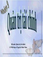 Quản trị tài chính - Khủng hoảng kinh tế và mạng quản trị tài chính cho NINOMAX pot