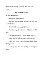 Giáo án sinh học lớp 12 chương trình nâng cao -Tiết: 4 Bài: ĐỘT BIẾN GEN pptx