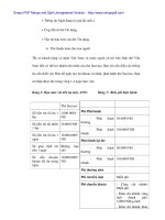 Giải pháp truyền thông cho thẻ Success của Ngân hàng No&PTNT Đà Nẵng - 6 doc