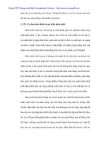 Giải pháp phát triển hệ thống phân phối liên kết dọc hàng điện tử điện lạnh tại Việt Nam - 2 docx