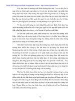 Ứng dụng Marketing để tăng hiệu quả Hoạt động xuất nhập khẩu tại Cty Xuất nhập khẩu Hà Tây - 2 ppt