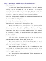 Giải pháp đẩy mạnh xúc tiến thương mại trong xuất nhập khẩu của Chính phủ cho Doanh nghiệp ở Đà Nẵng - 6 pps